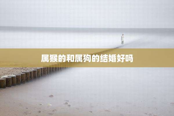 属猴的和属狗的结婚好吗
