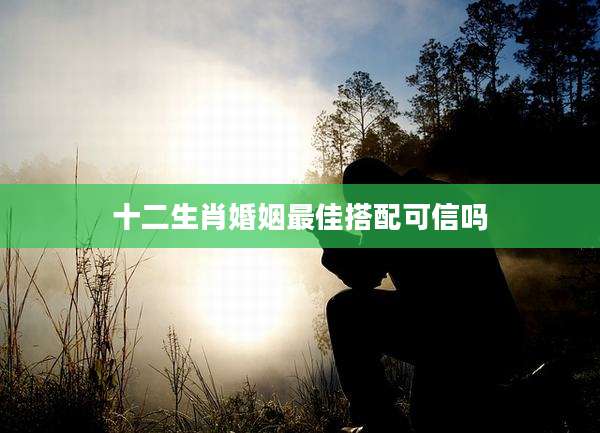 十二生肖婚姻最佳搭配可信吗