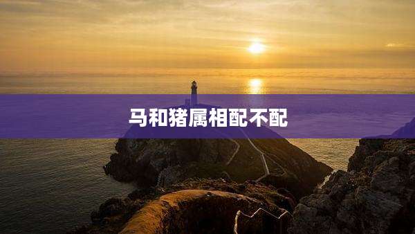 马和猪属相配不配