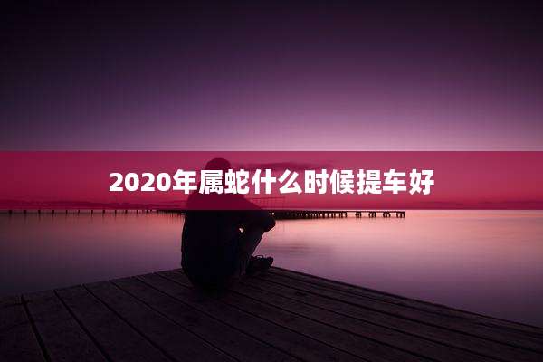 2020年属蛇什么时候提车好