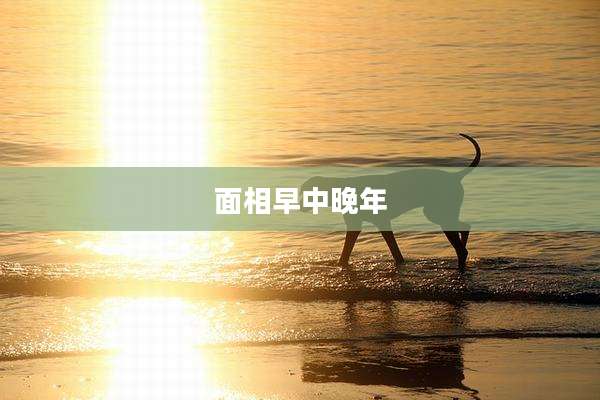 面相早中晚年