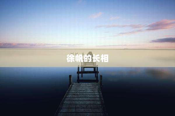 徐帆的长相