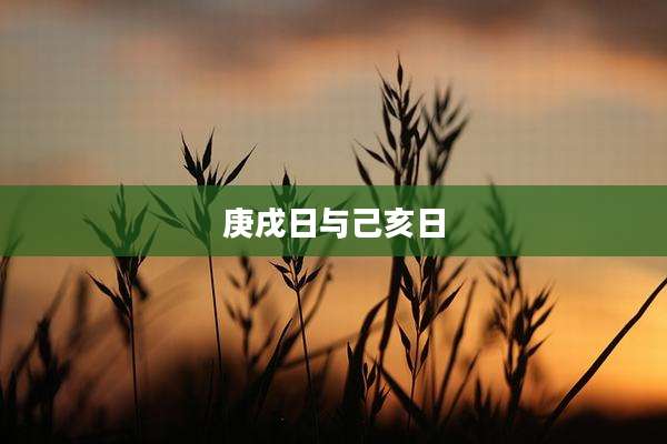 庚戌日与己亥日