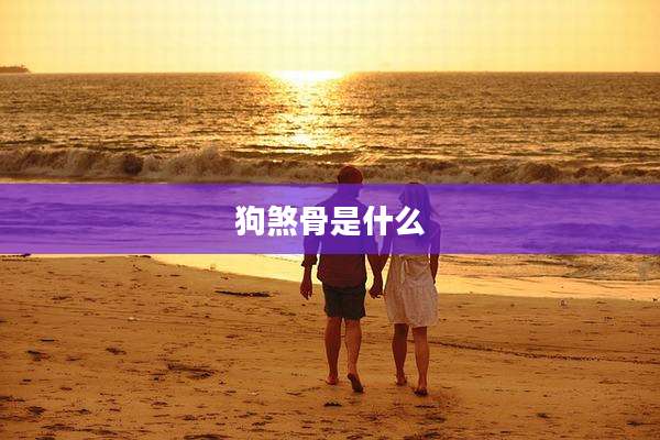 狗煞骨是什么