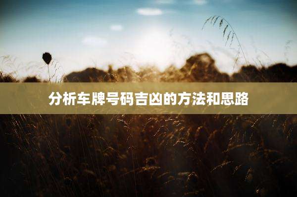 分析车牌号码吉凶的方法和思路