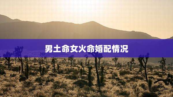 男土命女火命婚配情况