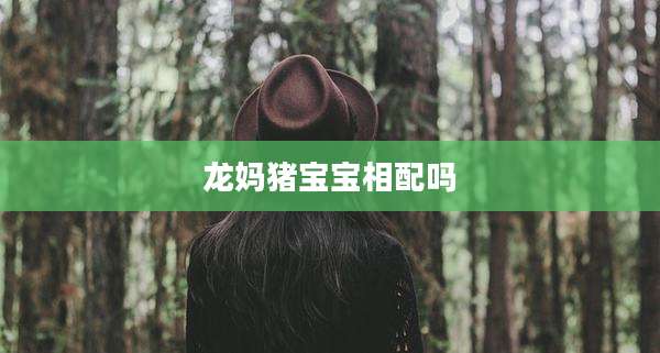 龙妈猪宝宝相配吗