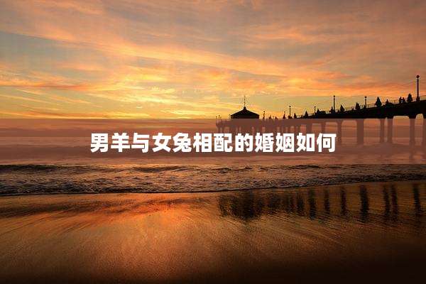 男羊与女兔相配的婚姻如何