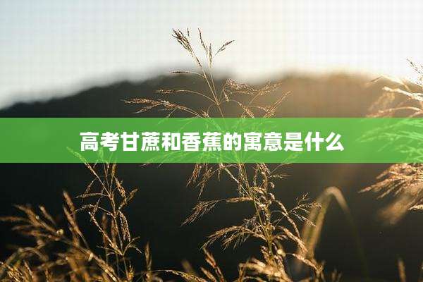 高考甘蔗和香蕉的寓意是什么