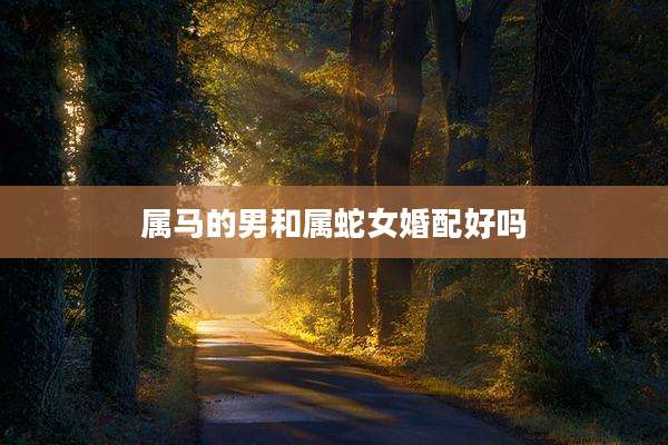 属马的男和属蛇女婚配好吗