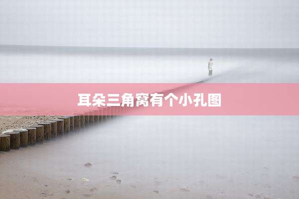 耳朵三角窝有个小孔图