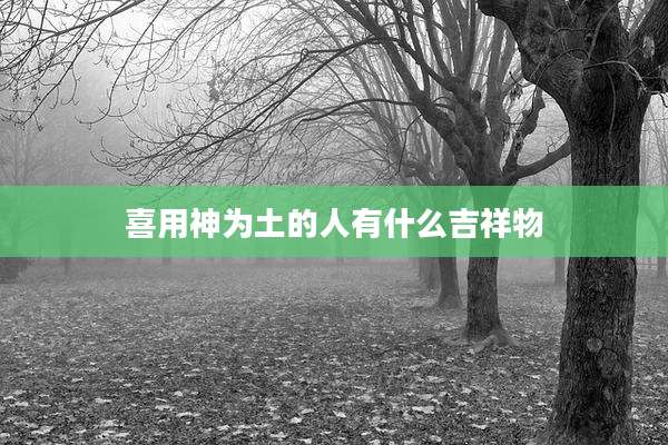 喜用神为土的人有什么吉祥物