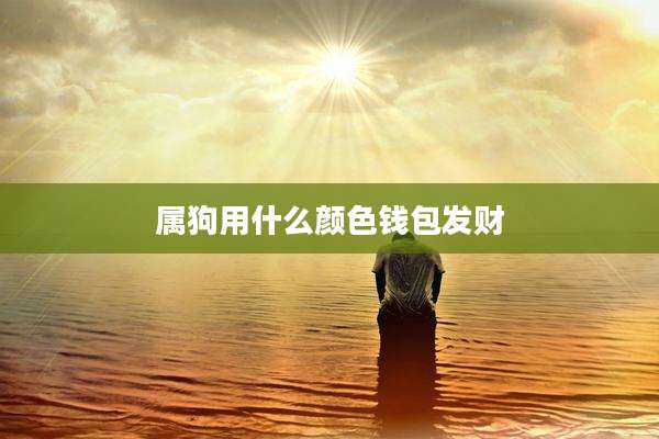 属狗用什么颜色钱包发财