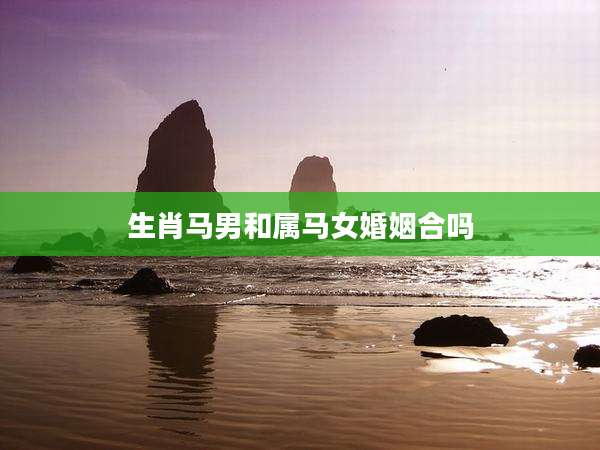 生肖马男和属马女婚姻合吗