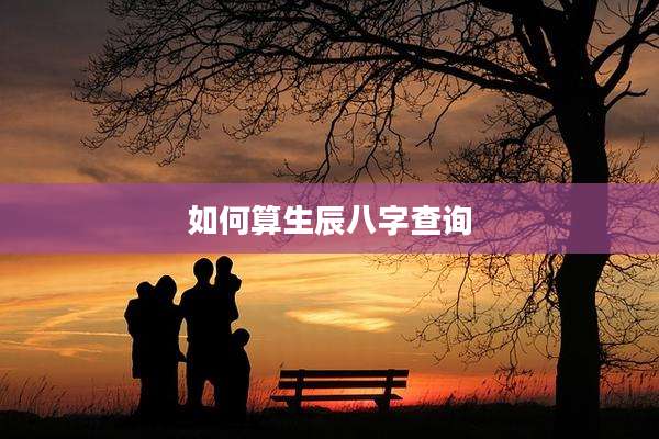 如何算生辰八字查询