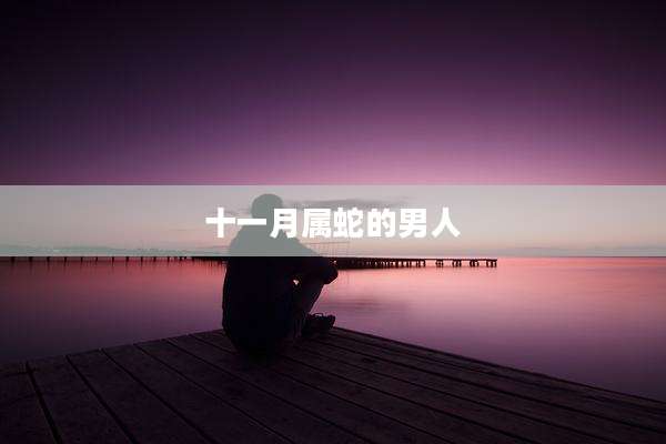 十一月属蛇的男人