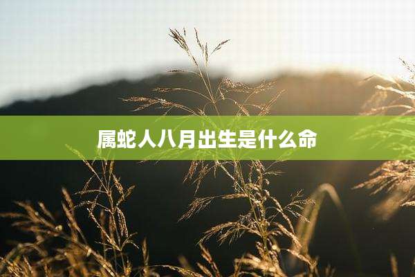属蛇人八月出生是什么命