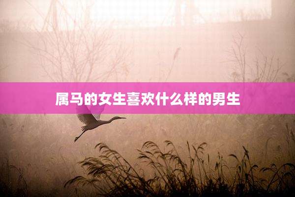 属马的女生喜欢什么样的男生