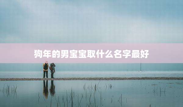 狗年的男宝宝取什么名字最好