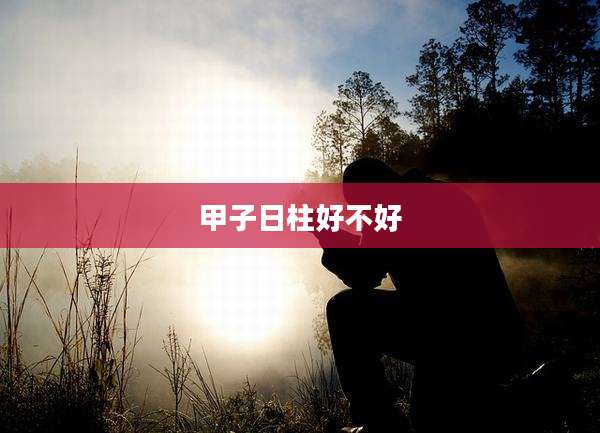甲子日柱好不好