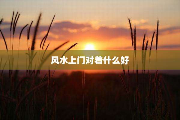 风水上门对着什么好