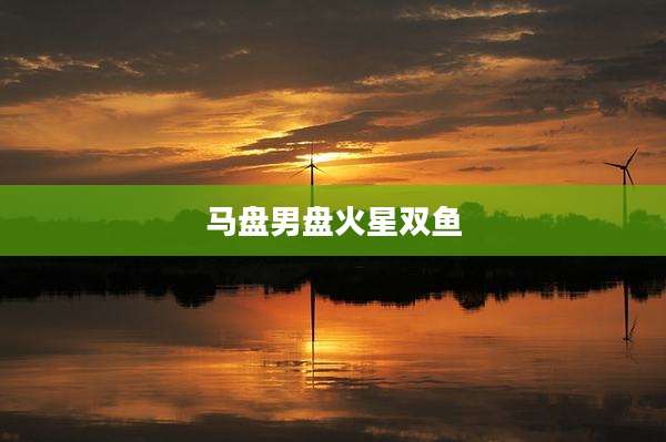 马盘男盘火星双鱼