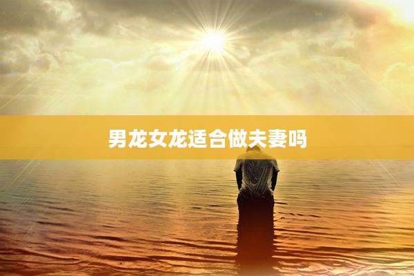 男龙女龙适合做夫妻吗