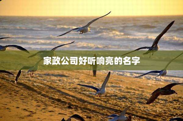 家政公司好听响亮的名字