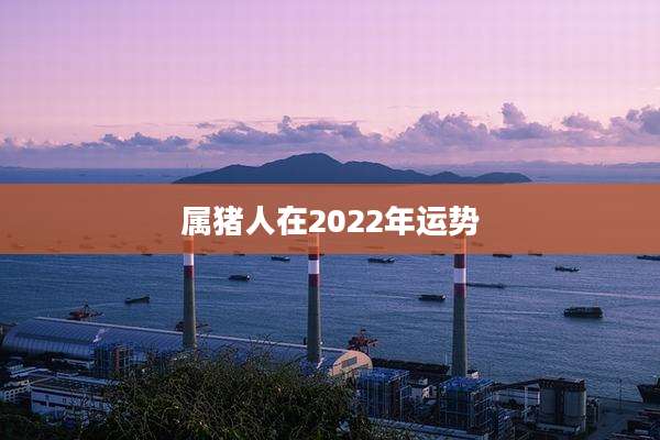 属猪人在2022年运势