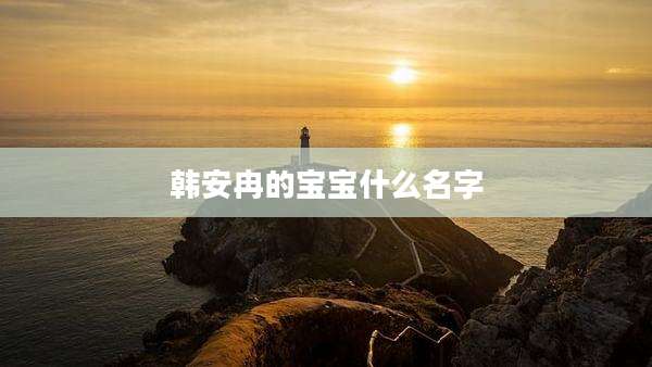 韩安冉的宝宝什么名字