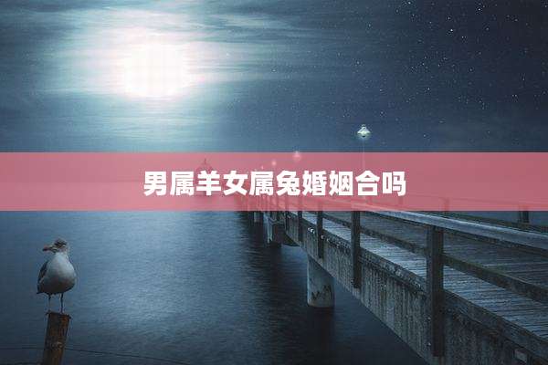 男属羊女属兔婚姻合吗