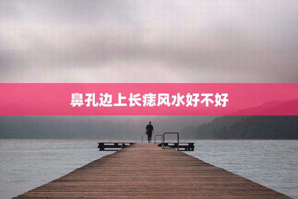 鼻孔边上长痣风水好不好