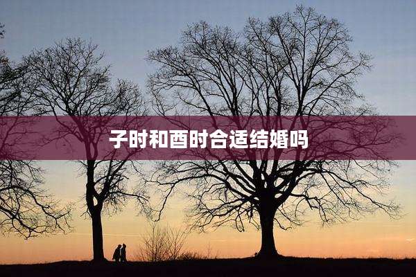 子时和酉时合适结婚吗