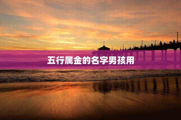 五行属金的名字男孩用