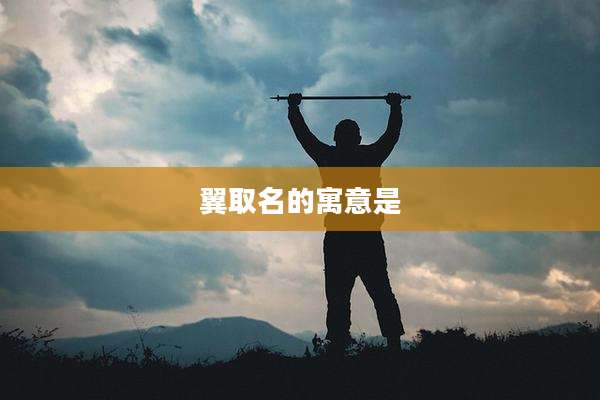 翼取名的寓意是