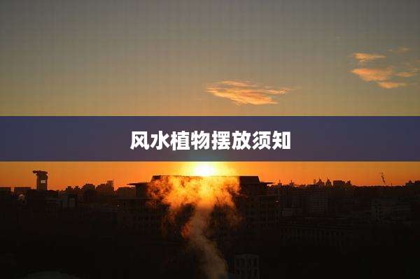 风水植物摆放须知