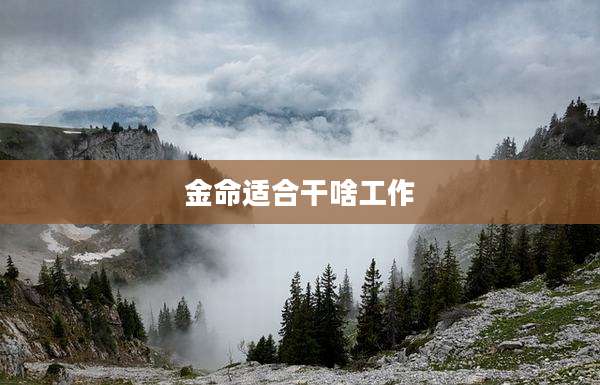 金命适合干啥工作