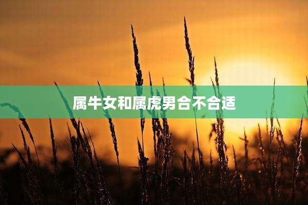 属牛女和属虎男合不合适