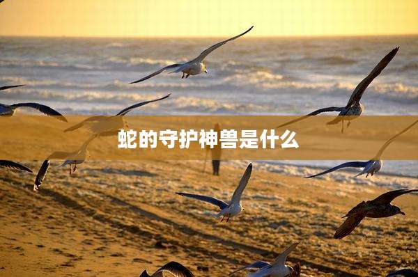 蛇的守护神兽是什么