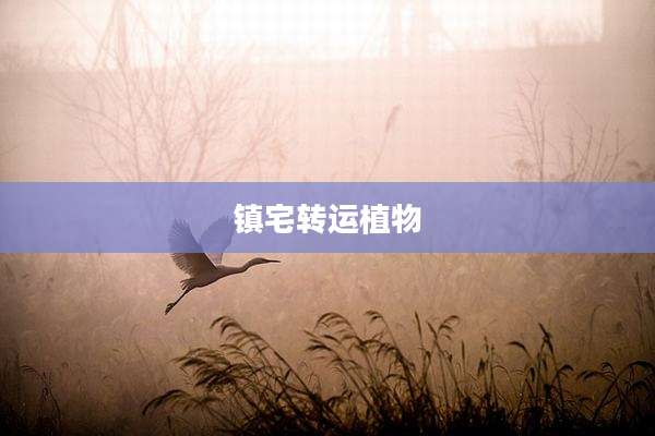 镇宅转运植物
