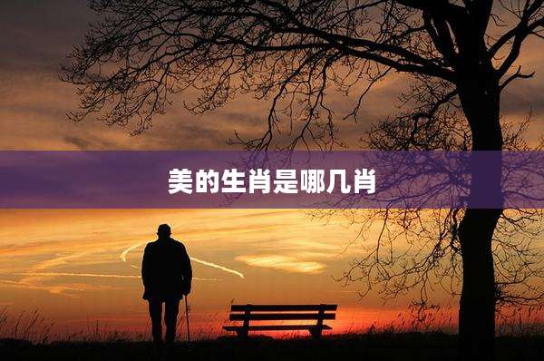 美的生肖是哪几肖