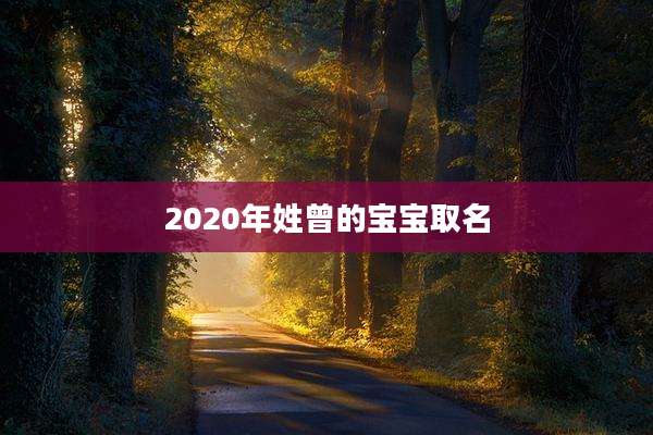 2020年姓曾的宝宝取名