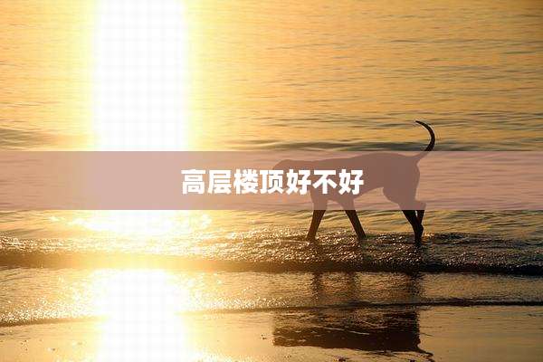 高层楼顶好不好