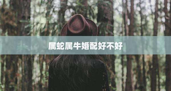 属蛇属牛婚配好不好