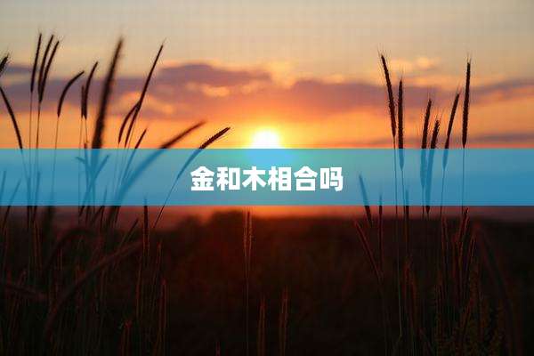金和木相合吗