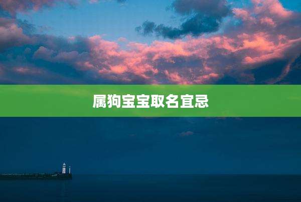 属狗宝宝取名宜忌