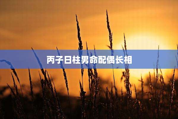 丙子日柱男命配偶长相
