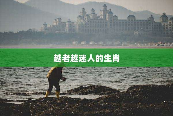 越老越迷人的生肖