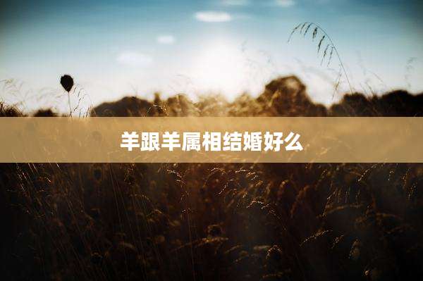 羊跟羊属相结婚好么