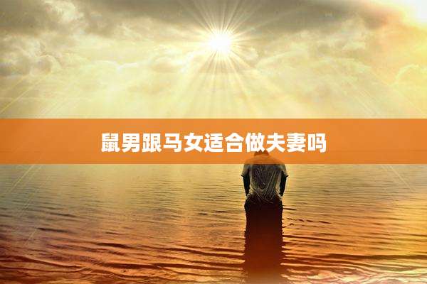 鼠男跟马女适合做夫妻吗